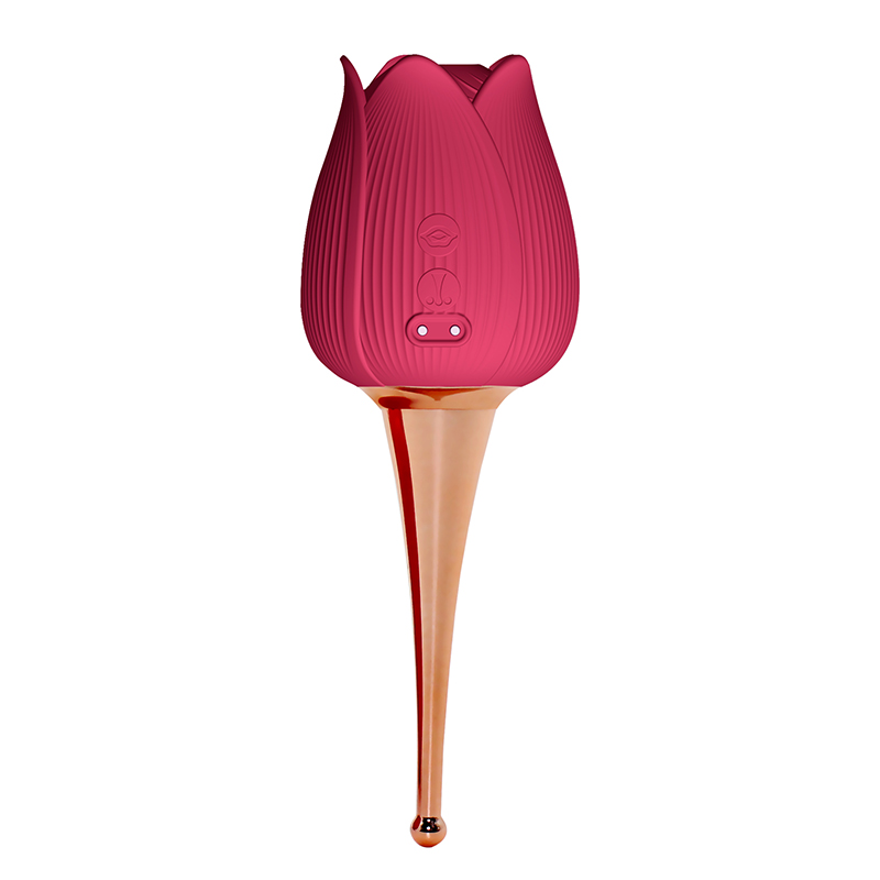 Usb Rechargeable Rose Toys For Women