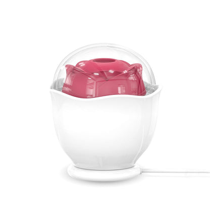 Eggshell Rose Sucking Vibration