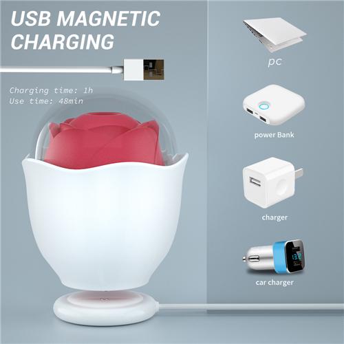 Eggshell Light Rose Toy